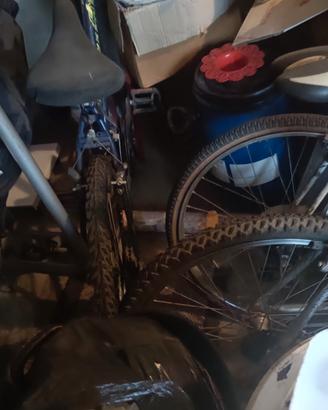 biciclette 