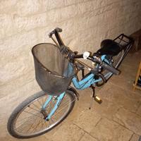 Bici ruota 24 seminuova