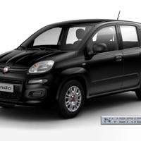 FIAT Panda 1.0 FireFly S&S Hybrid con Pack Comfo