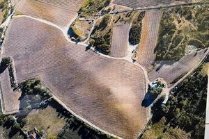 Terreno agricolo con vigneti, Luras (SS)