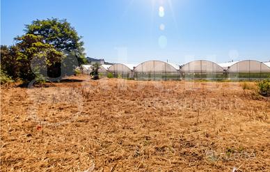 Terreno Agricolo Gaeta [Cod. rif T52VCG]