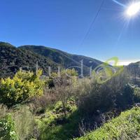 Terreno Edificabile a Seborga