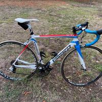 Bici da corsa Dynatek pro light carbonio Taglia M