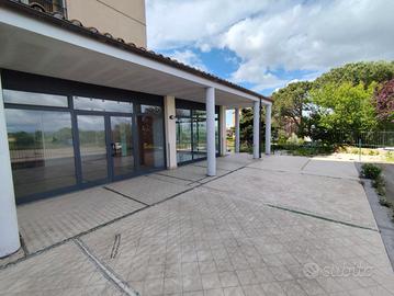 Viterbo Locale Commerciale 500mq