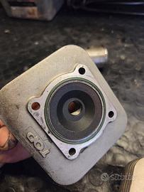 cilindro tpr marmitta giannelli e 21 tutto piaggio