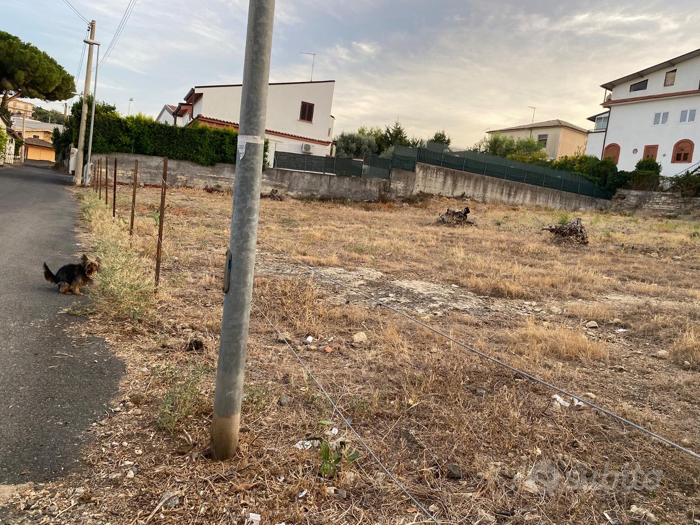 Terreno lottizzato edificabile da 1.200 mq - Vista 3