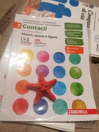 contaci 1 matematica e geom zanichelli