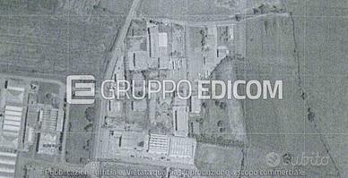 Terreno, San Cipriano Po.