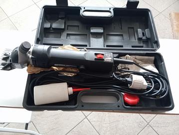  buono ben conservato 