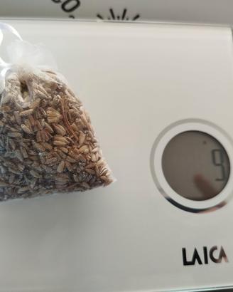 sacchetti lavanda