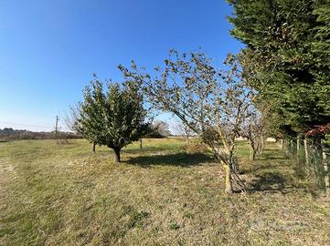 TER. AGRICOLO A RAVENNA