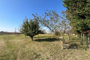 TER. AGRICOLO A RAVENNA