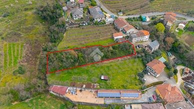 RUSTICO A MONTECCHIA DI CROSARA