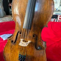 Violoncello