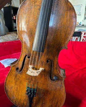Violoncello