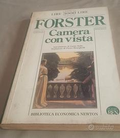 Libro vintage ROMANZO CAMERA CON VISTA