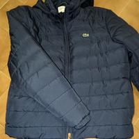 Piumino Lacoste da uomo