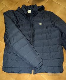 Piumino Lacoste da uomo