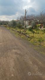 Terreno agricolo con acqua e corrente elettrica