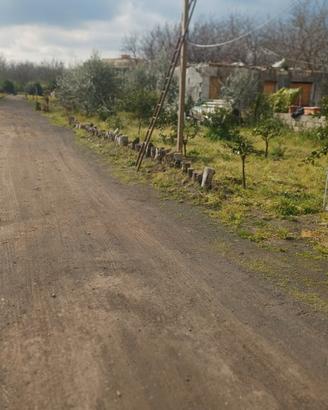 Terreno agricolo con acqua e corrente elettrica