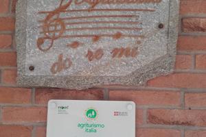Relax tra i castagneti