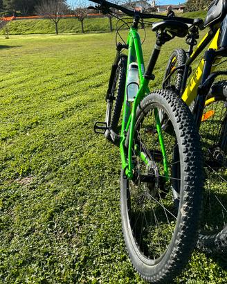 Bici Scott