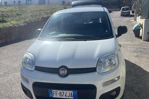 Panda 1.3 multijet
