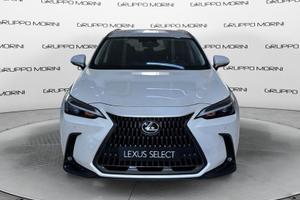 Lexus NX Plug-in Premium+ AWD