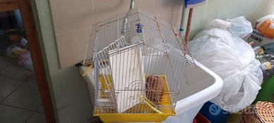 Gabbia uccelli 