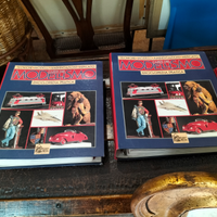 Coppia Volumi L'Arte Del Modellismo