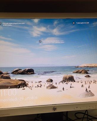 monitor hp 
