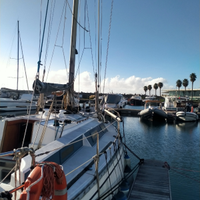 Vela