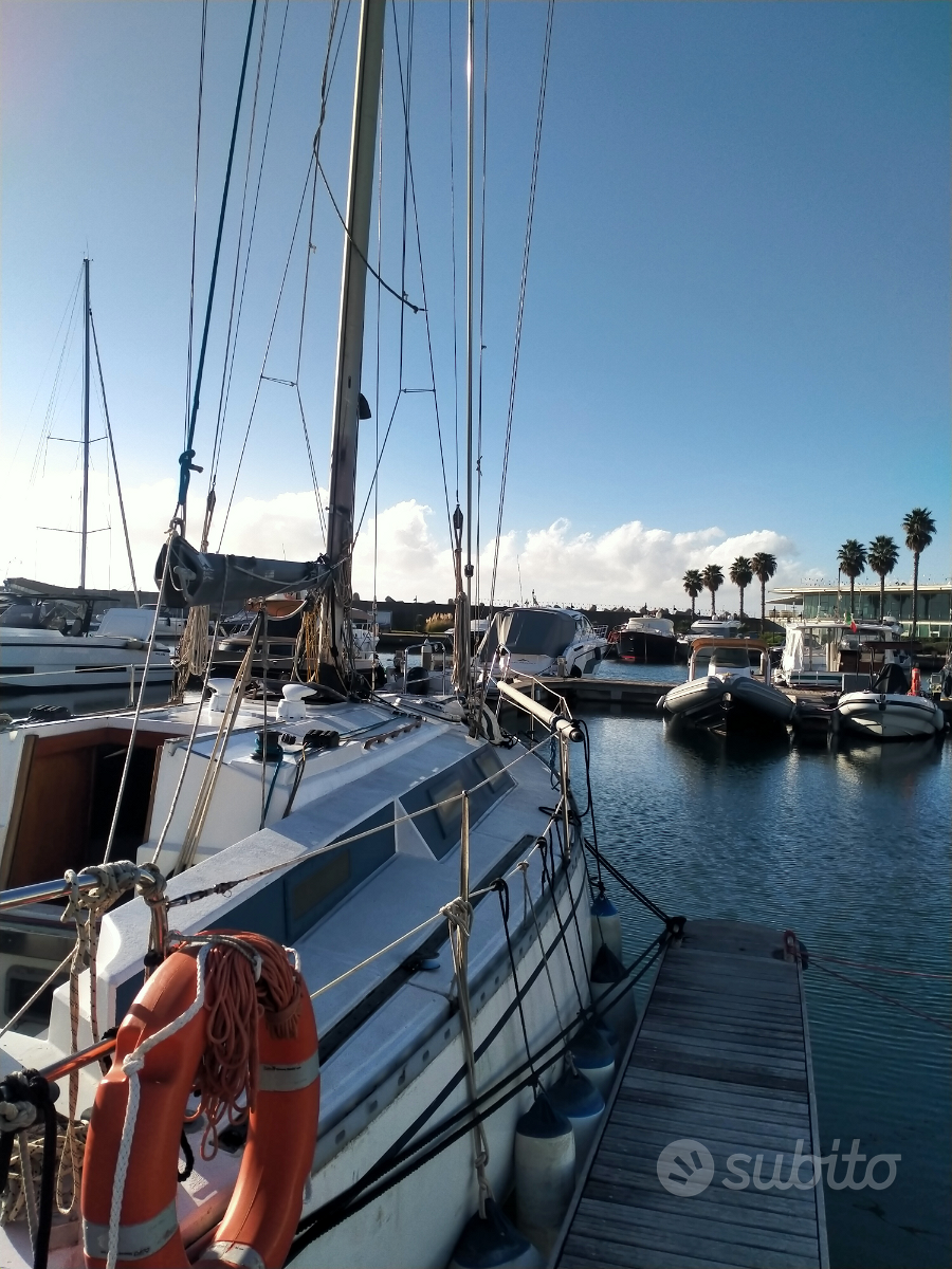 Vela — View photo 1