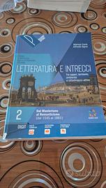 libro letteratura e intrecci