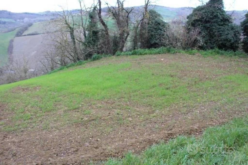 Immobile in asta di 43309 m² a Meldola - Vista 2