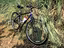 Immagine 2