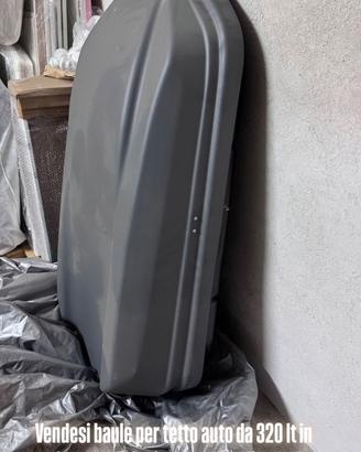 Baule tetto auto