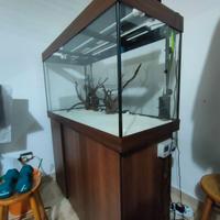 acquario Juwel Rio 350 litri con illuminazione led