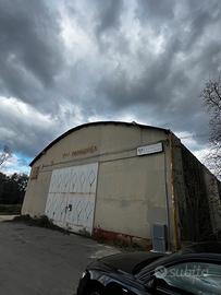 Capannone commerciale con ampi spazi