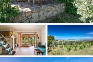 Dependance Murta Maria