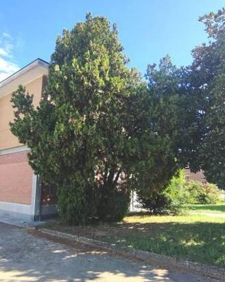 Villa di 900 m² con più di 5 locali a Stradella