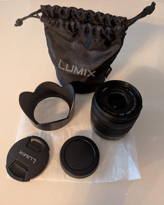 Obiettivo Panasonic H-FS014042