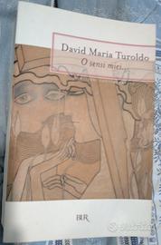 O sensi miei di David Maria Turoldo 