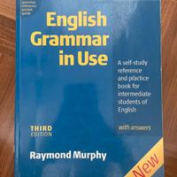 English grammar in Use