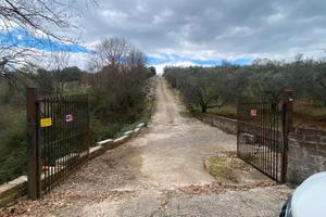 Terreno agricolo