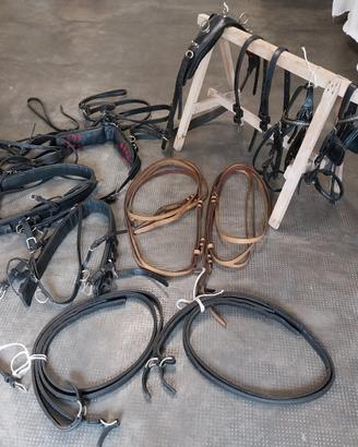 Finimento per cavalli