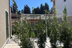 Casa vacanze marina di carrara