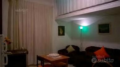 Monolocale affittasi