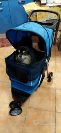 Passeggino cane
