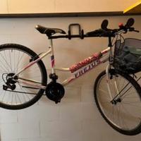 Bici Mountain Bike Frejus + cesto + specchietti